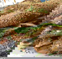 Bean Out - Foster Accommodation