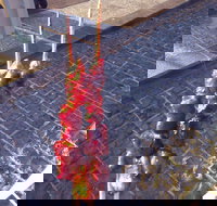 Harvest Coffee - Foster Accommodation