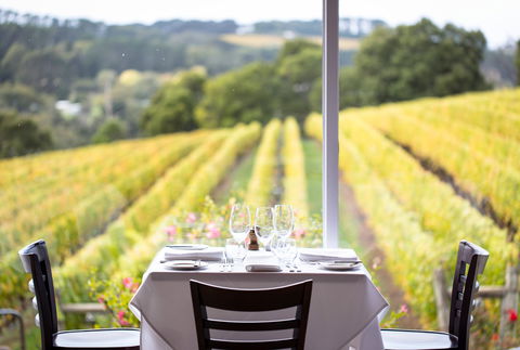 Paringa Estate Winery And Restaurant - Foster Accommodation 0