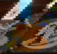 Cocina Mexican Grill and Cantina - Foster Accommodation