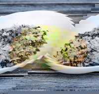 Coogee Diggers - Foster Accommodation