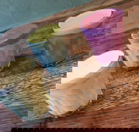 Charlie and Leo's - Foster Accommodation