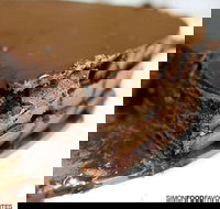 The Best Chocolate Cake - Foster Accommodation