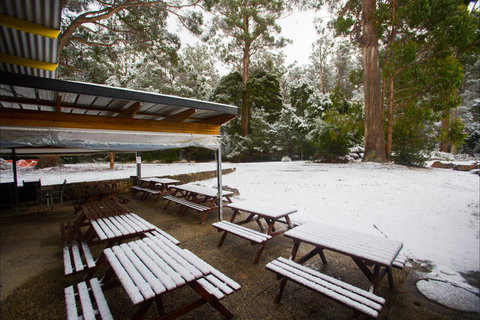 Waterfalls Cafe & Gallery - Foster Accommodation 0