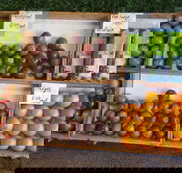 Melonhead - Foster Accommodation