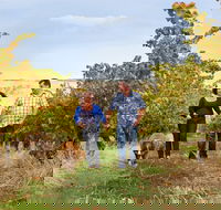 WayWood Wines - Foster Accommodation
