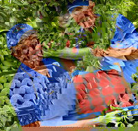 Willayoung Orchard - Foster Accommodation