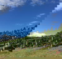 Freycinet Vineyard - Foster Accommodation