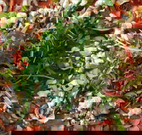 Mount Buninyong Winery - Foster Accommodation