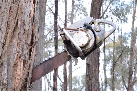 Mount Buninyong Winery - Foster Accommodation 2