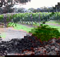 Spring Vale Vineyard - Foster Accommodation
