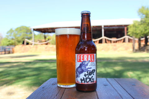 Feral Brewing Company - Foster Accommodation 1