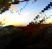 Glenbosch Wine Estate - Foster Accommodation