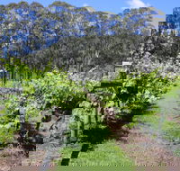 Woongooroo Estate Winery - Foster Accommodation