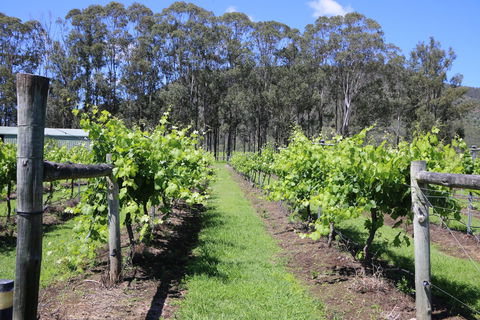 Woongooroo Estate Winery - Foster Accommodation 0