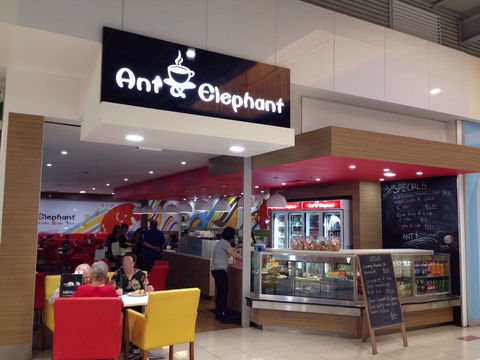 Ant & Elephant - Foster Accommodation 0