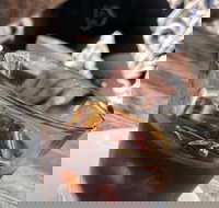 Ollie's Coffee  Catch Ups - Foster Accommodation