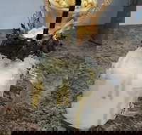 Breeze Bistro - Foster Accommodation