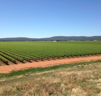 Melange Wines - Foster Accommodation