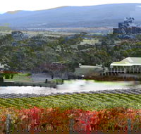 Milton Vineyard - Foster Accommodation