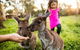 Woodstock Coterie Estate - thumb 16
