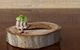 Woodstock Coterie Estate - thumb 8