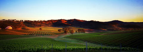 Dalwhinnie Wines - Foster Accommodation 0