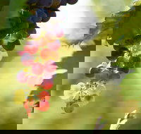 Raleigh Winery - Foster Accommodation