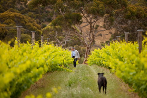 Islander Estate Vineyards - Foster Accommodation 1