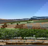 Peerick Vineyard and Winery - Foster Accommodation