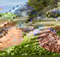 Redgate Wines - Foster Accommodation