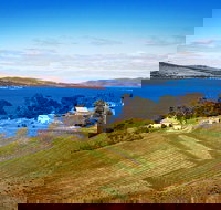 Anim Wine - Foster Accommodation