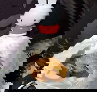 Lil' Orbit - Foster Accommodation