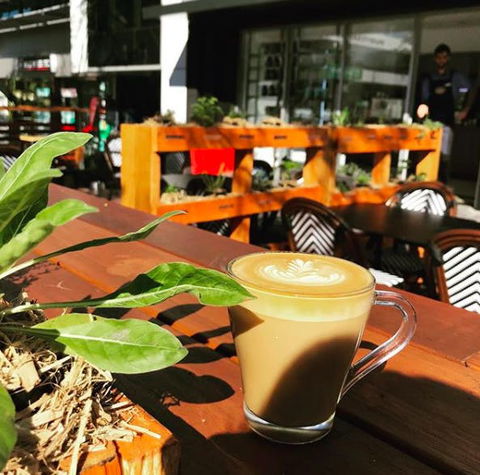 Apothecafe - Foster Accommodation 0