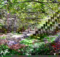 Naked Apple Cider - Foster Accommodation