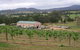 Villa D Esta Vineyard - thumb 0