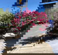 Alpine Gate Cafe - Foster Accommodation