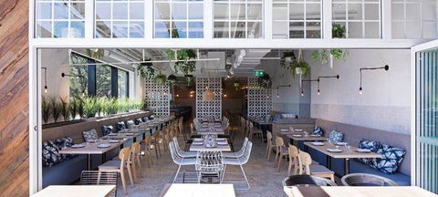 Blue Lake Tandoori Espress - Foster Accommodation 3