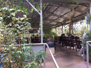 Alice Vietnamese Restaurant - Foster Accommodation 4