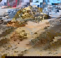 Carss Park Cafe  Grill - Foster Accommodation