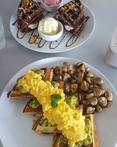 Waffle On Cairns - Foster Accommodation 6