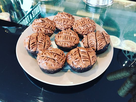 Snug TAS Foster Accommodation