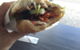 Vietnamese Corner - thumb 6