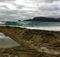 Bruny Island Berry Farm - Foster Accommodation