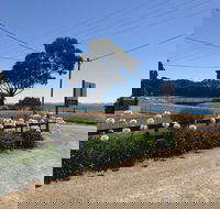 Penguin  Pardalote Coffee House - Foster Accommodation