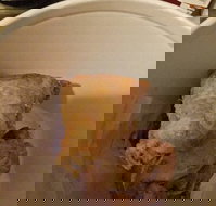 KFC - Foster Accommodation