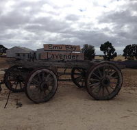 Emu Bay Lavender - Foster Accommodation