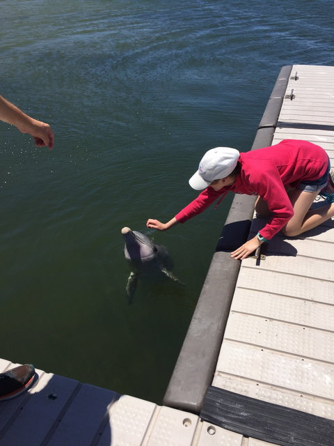 Whyalla Foreshore - Foster Accommodation 4