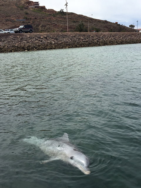 Whyalla Foreshore - Foster Accommodation 5