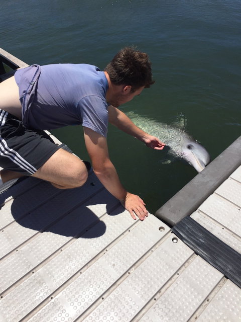 Whyalla Foreshore - Foster Accommodation 6